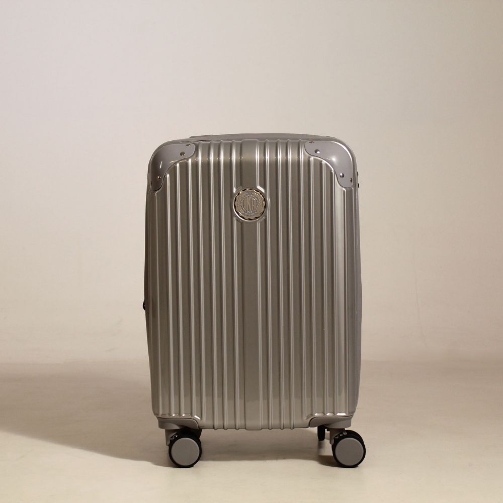 Unika Silver Carry-On Suitcase